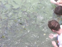 �a�t������