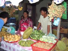 �t���[�c������