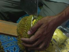 ���l�h���A��