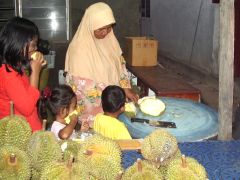 �h���A���R����