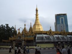 �X�[���[�p�S�_