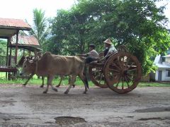 ���Ԃł̂�т�