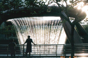 �T���e�b�N�̕���