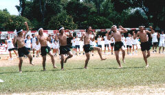 ��������͂��ϑ�