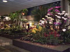 ��`�����K�[�f���s�s