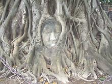 ���b�g�E�v���}�n�^�[�g