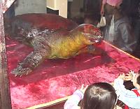 ����X�b�|���̔���